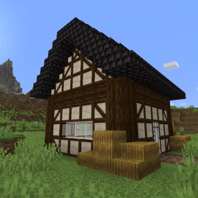 Blockus – Bloques extra para quienes buscan variedad